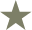 Star icon